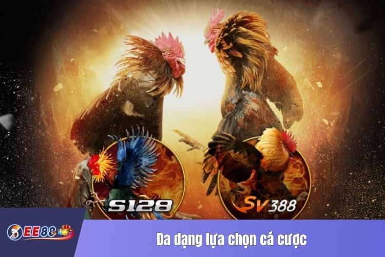 Đa dạng lựa chọn cá cược