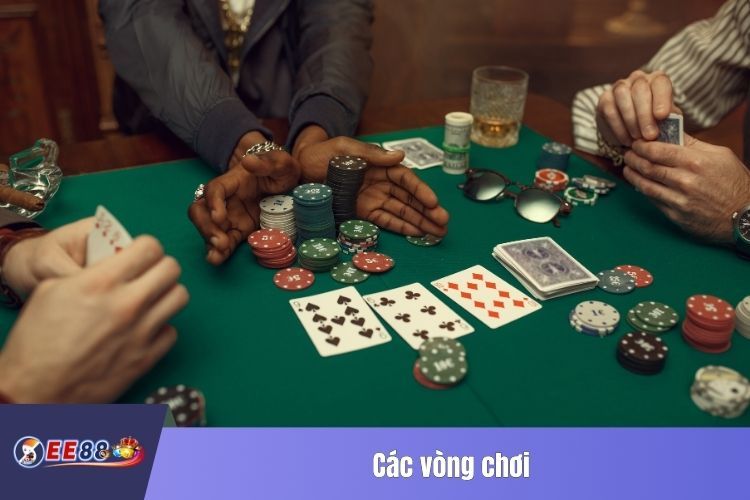 Các vòng chơi