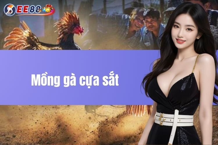 Mồng gà cựa sắt - Hướng dẫn nhận biết tại EE88