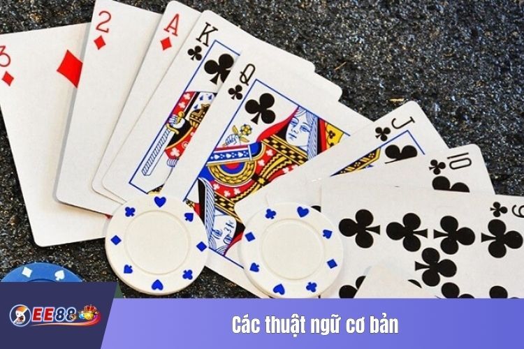 Các thuật ngữ cơ bản