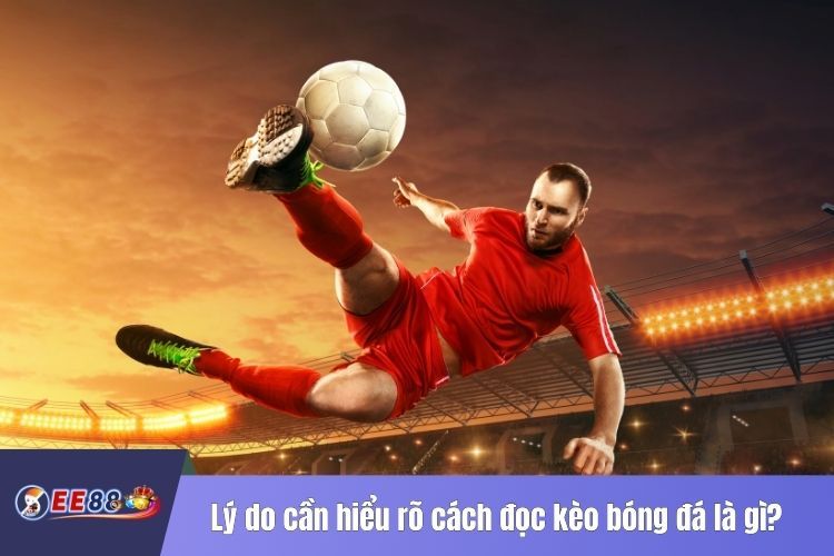 Lý do cần hiểu rõ cách đọc kèo bóng đá là gì?