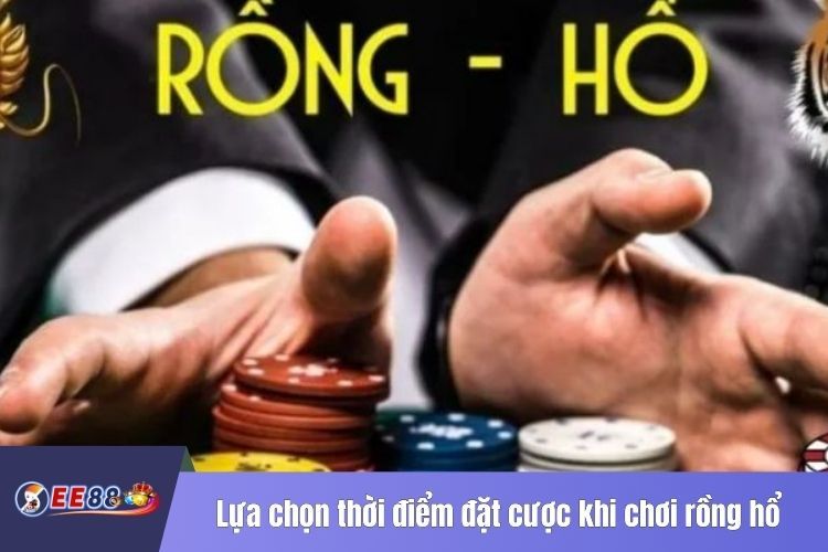 Lựa chọn thời điểm đặt cược khi chơi rồng hổ